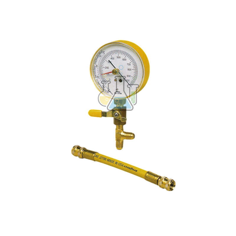 Pressure gauge with adapter hose
